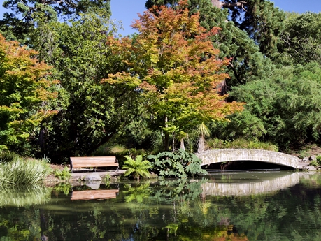 Botanischer Garten